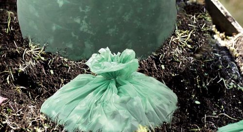 সম্পর্কে সর্বশেষ কোম্পানি খবর কম্পোস্টযোগ্য প্লাস্টিকের ব্যাগ কি জৈব-অবচনীয়? মিথ ভাঙা